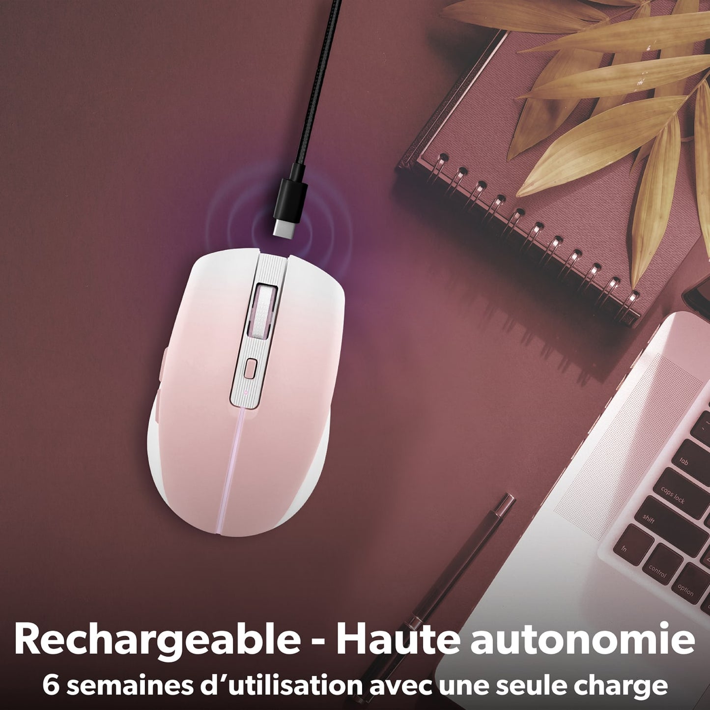 TNB Souris colorée rechargeable DUAL CONNECT rose - GRADIENT